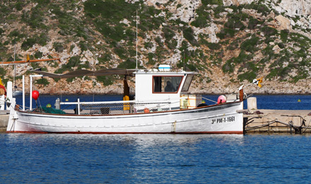 www.angeltourenmallorca.de Bootstouren auf Mallorca mit Xoriger