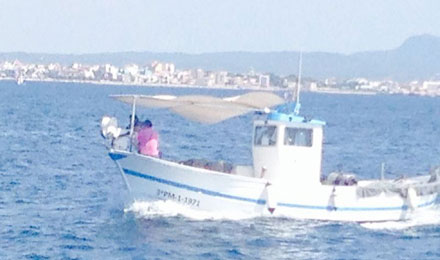 angeltourenmallorca.de Bootstouren auf Mallorca mit Hermanos Gonzalez